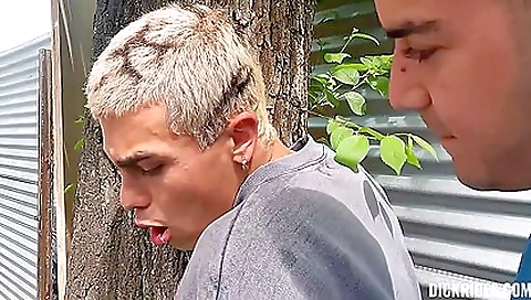 Kat dish on maskurbate