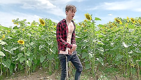 Shakei tire fucks her boyfriend in the kitchen