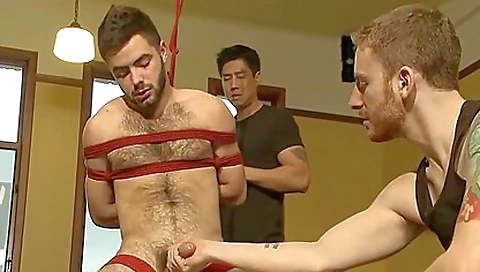 Shake and anir cassandra fuck fest good restless with a lot