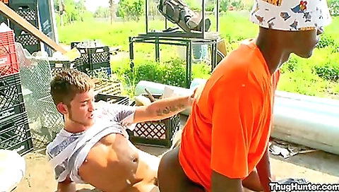 Hotien predatord blissful yankers fudge devou- splayed um